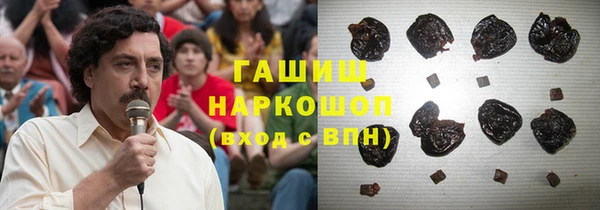 ГАЛЛЮЦИНОГЕННЫЕ ГРИБЫ Верея
