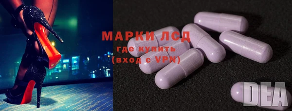 ГАЛЛЮЦИНОГЕННЫЕ ГРИБЫ Верея