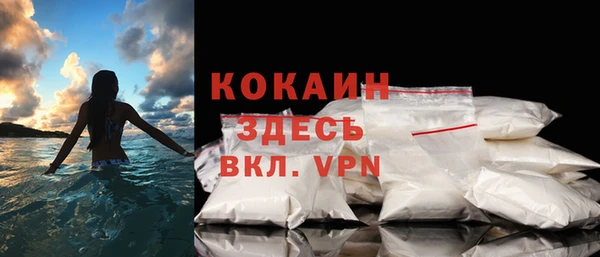 ГАЛЛЮЦИНОГЕННЫЕ ГРИБЫ Верея