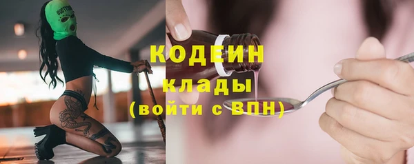 ГАЛЛЮЦИНОГЕННЫЕ ГРИБЫ Верея