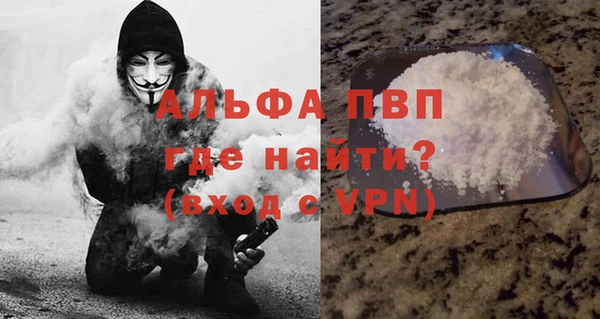 ГАЛЛЮЦИНОГЕННЫЕ ГРИБЫ Верея