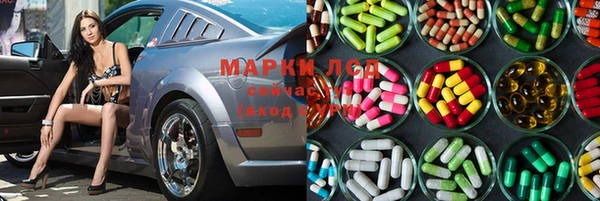 ГАЛЛЮЦИНОГЕННЫЕ ГРИБЫ Верея