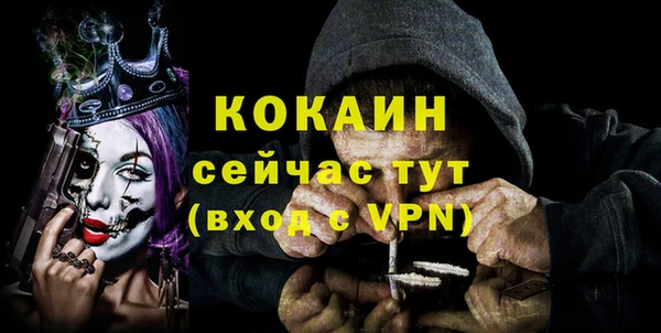 ГАЛЛЮЦИНОГЕННЫЕ ГРИБЫ Верея