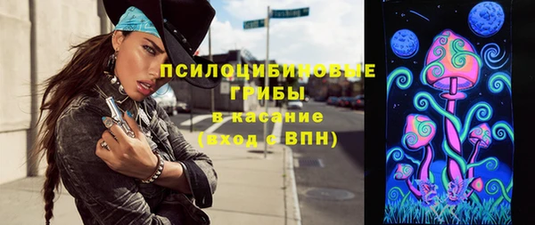 ГАЛЛЮЦИНОГЕННЫЕ ГРИБЫ Верея