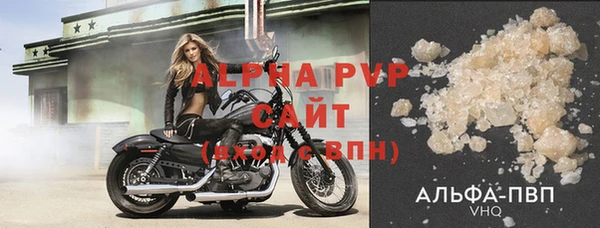 ГАЛЛЮЦИНОГЕННЫЕ ГРИБЫ Верея