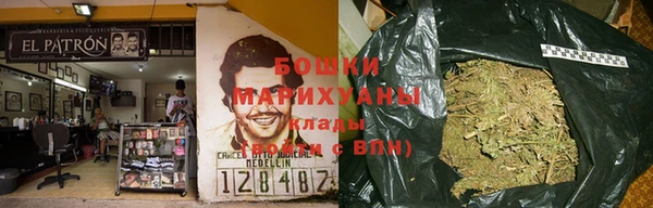 ГАЛЛЮЦИНОГЕННЫЕ ГРИБЫ Верея