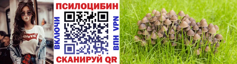 Псилоцибиновые грибы мухоморы MEGA ONION Вологда