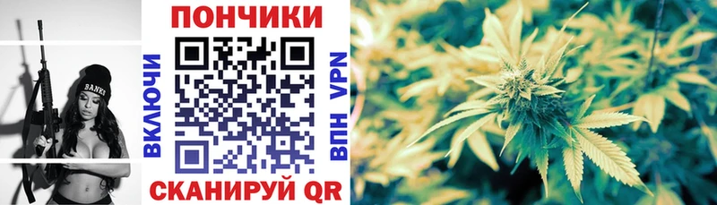 где можно купить   гидра зеркало  Конопля THC 21%  Вологда 